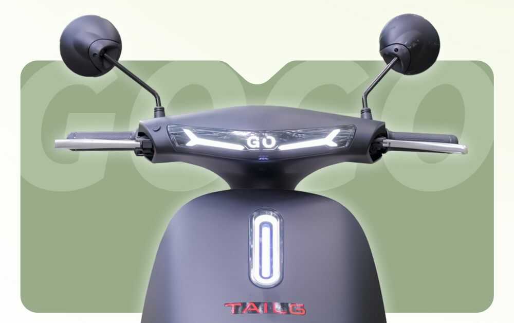 Xe M&aacute;y Điện Tailg Gogo R31 Ch&iacute;nh H&atilde;ng