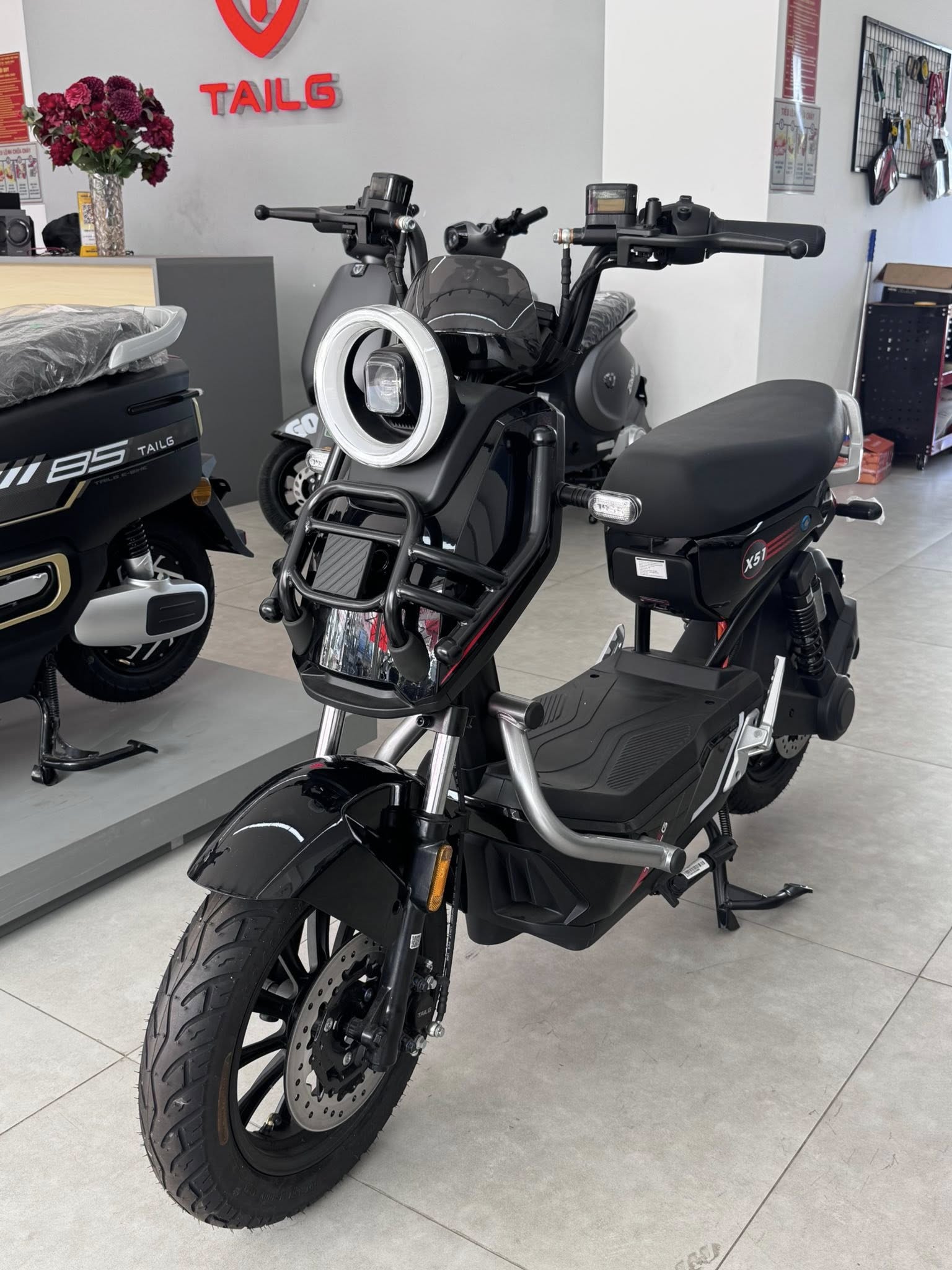 Xe Đạp Điện Tailg Discovery X51