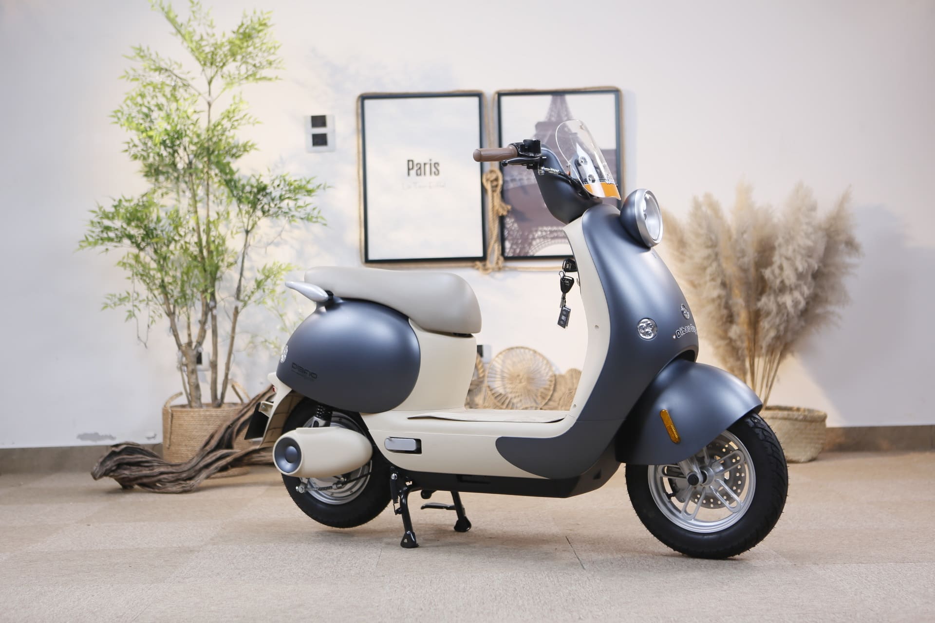 Tháng 7 Là Thời Điểm Vàng Để Mua Xe Điện Dibao Tại Thế Giới Xe Điện Tháng 7 Là Thời Điểm Vàng Để Mua Xe Điện Dibao Tại Thế Giới Xe Điện