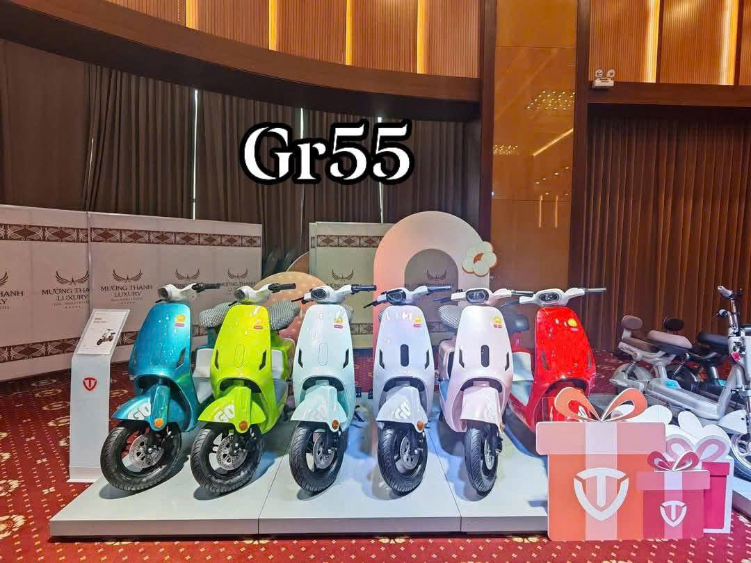 Mẹo giữ xe đạp điện Tailg Hotgirl GR55 vận hành êm như mới