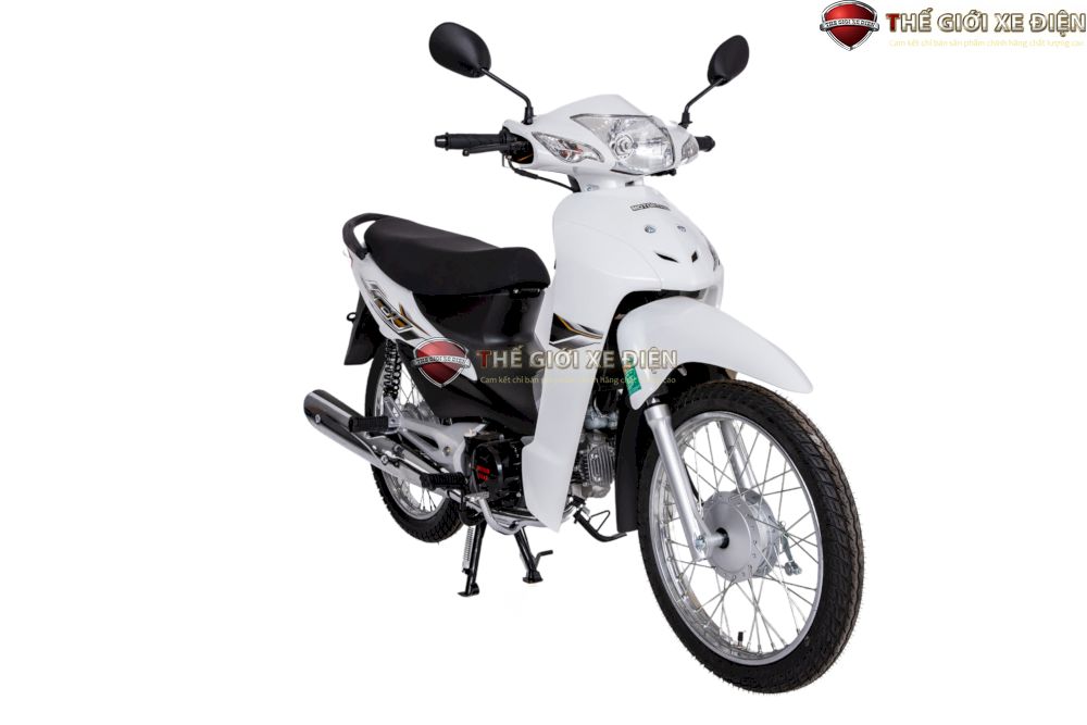 Top 3 xe số 50cc đơn giản, giá rẻ, dễ điều khiển cho học sinh