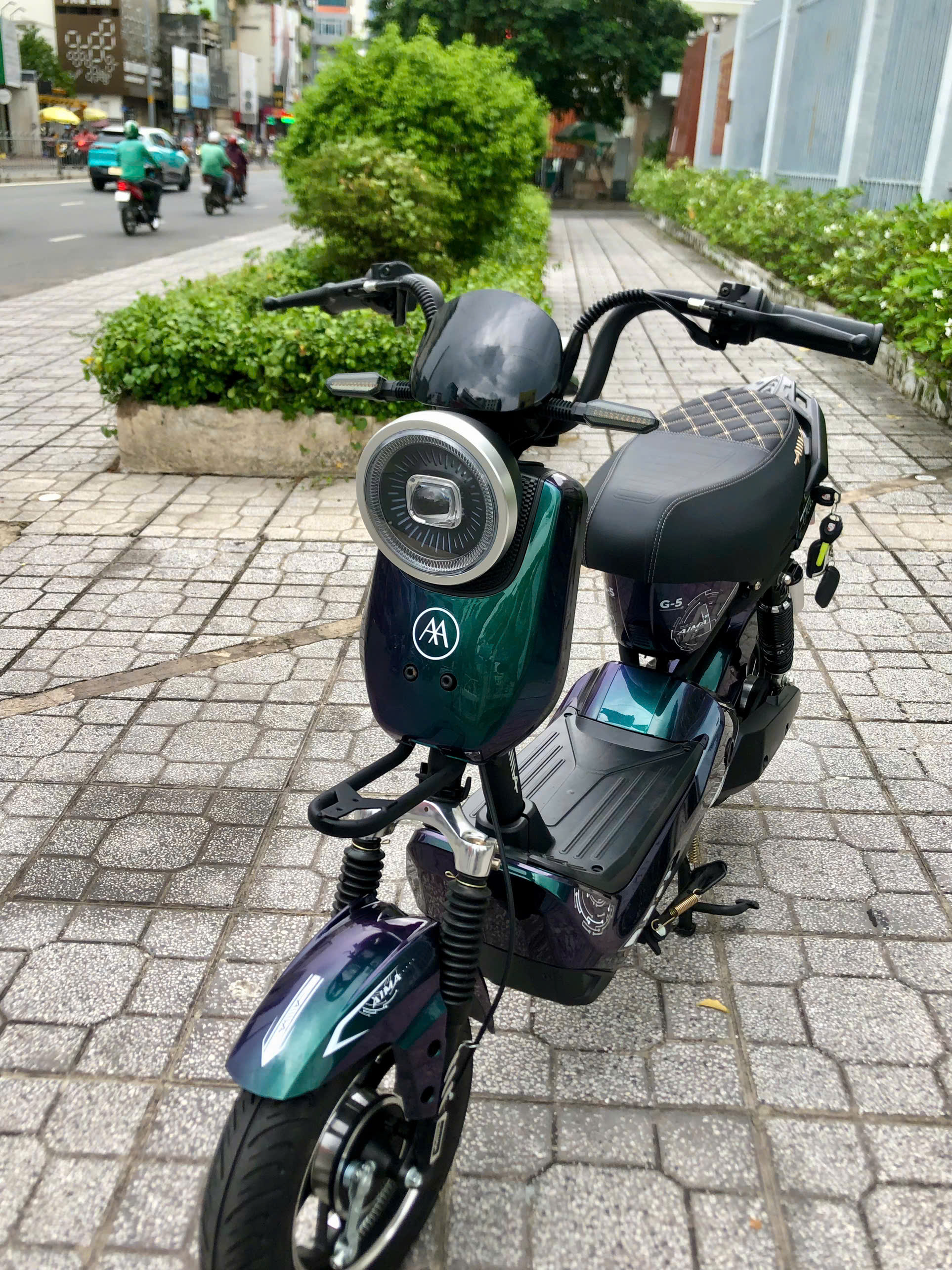 Xe Đạp Điện 133 Aima Orla G5 