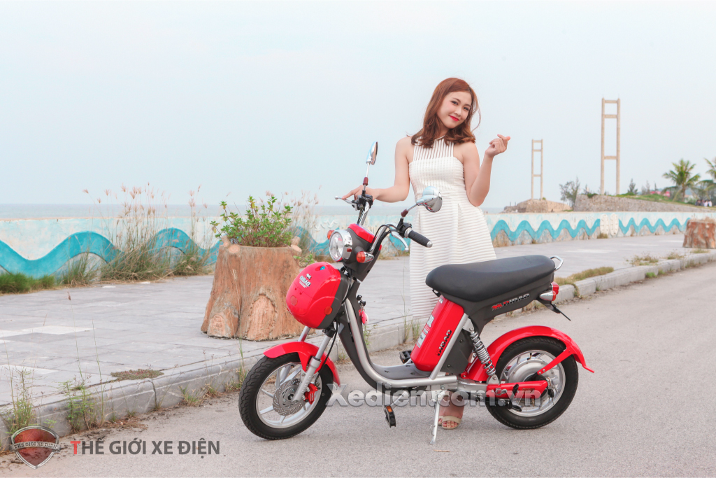 Xe đạp điện Nijia Dibao phanh đĩa