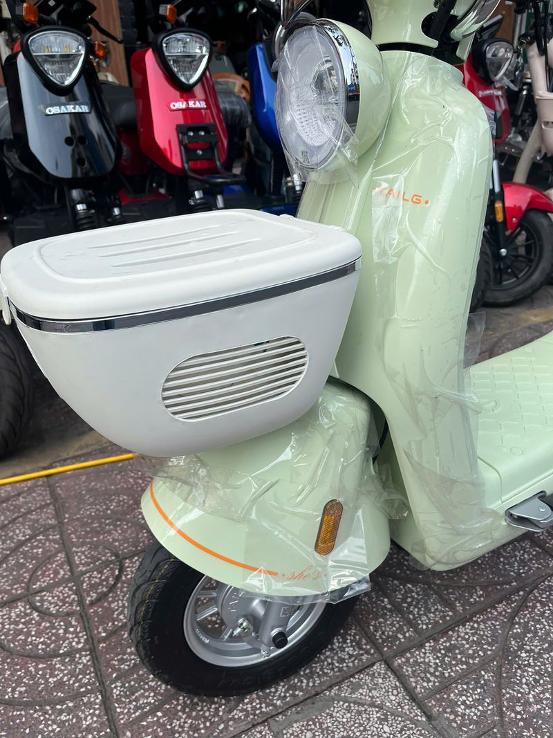 Xe Đạp Điện Tailg Princess JS50 (Đầy Đủ Giấy Tờ)