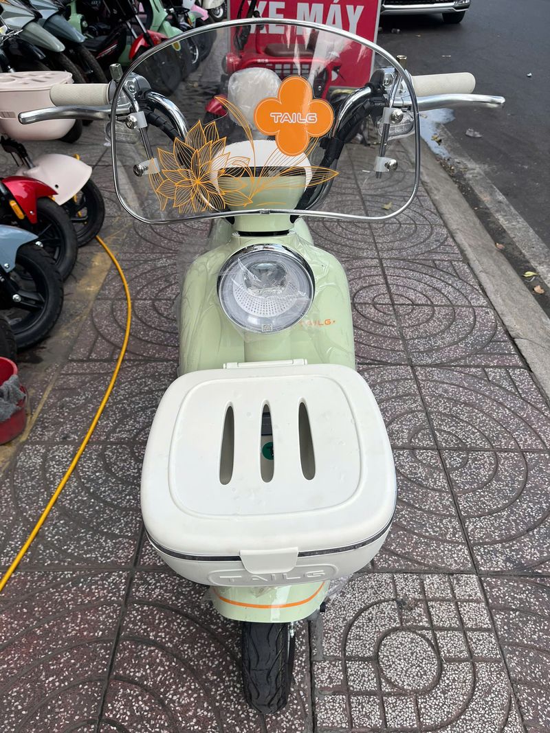 Xe Đạp Điện Tailg Princess JS50 (Đầy Đủ Giấy Tờ)