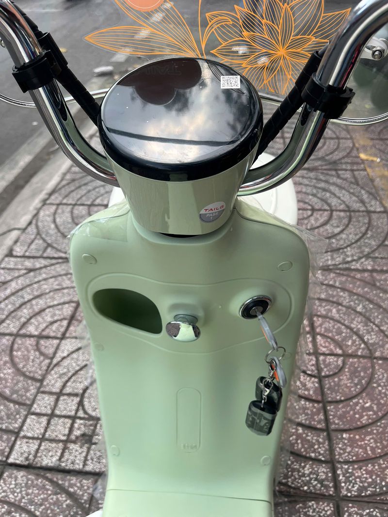 Xe Đạp Điện Tailg Princess JS50 (Đầy Đủ Giấy Tờ)