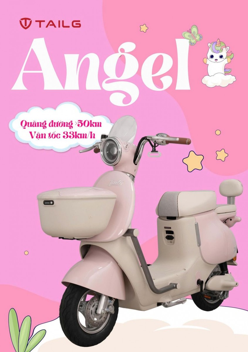 Xe Đạp Điện Tailg GR54 Đầy Đủ Giấy Tờ