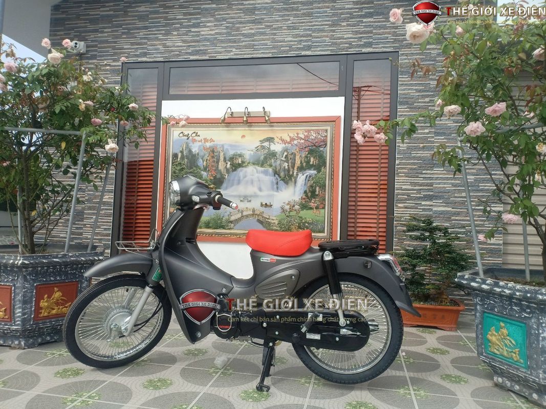 Xe Máy 50cc Cub 89 Victoria