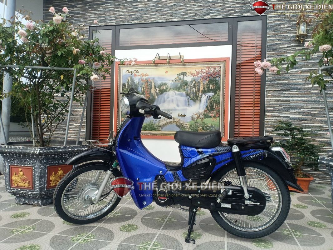 Xe Máy 50cc Cub 89 Victoria