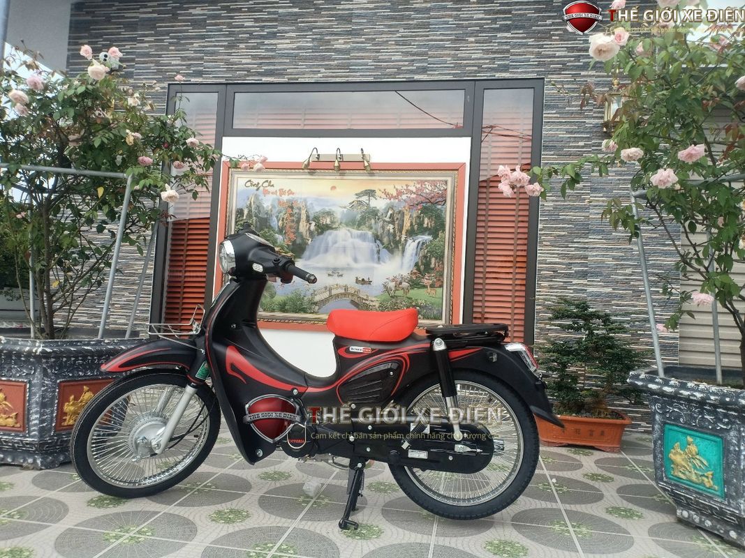 Xe Máy 50cc Cub 89 Victoria