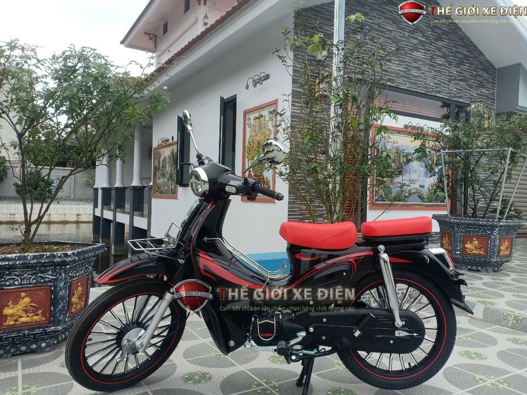 Xe Máy 50cc Cub 89 Victoria