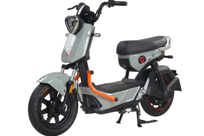 Xe Đạp Điện Tailg GX30 Xbull Chính Hãng (Đầy Đủ Giấy Tờ)