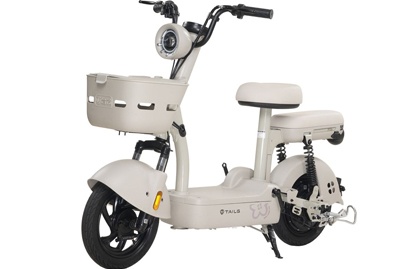 Xe Đạp Điện Tailg JY33 Mini Bike 4 ACQUY 13Ah